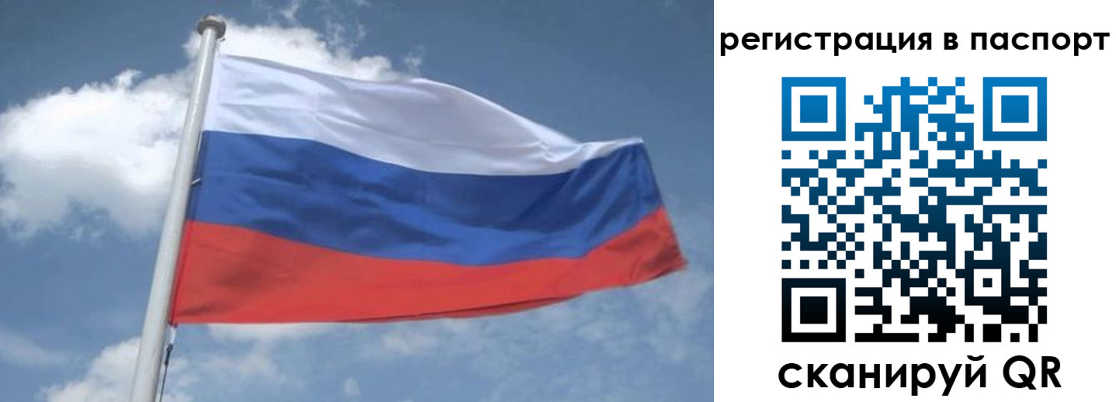 временная регистрация надежно в Павлово